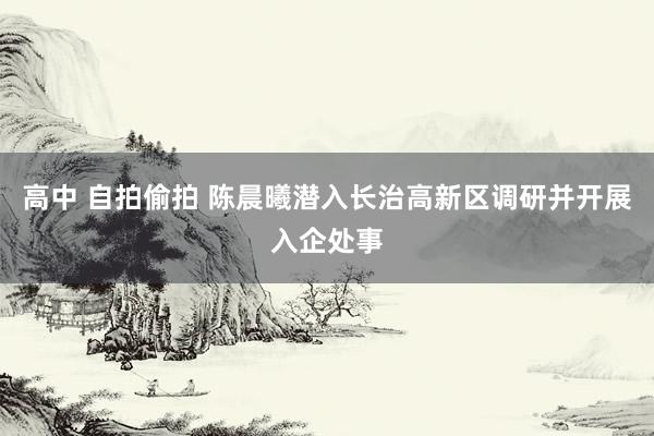 高中 自拍偷拍 陈晨曦潜入长治高新区调研并开展入企处事